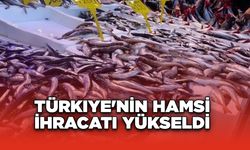 Türkiye'nin Hamsi İhracatı Yükseldi