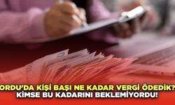 Ordu'da kişi başı ne kadar vergi ödedik? Kimse bu kadarını beklemiyordu!