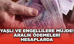 Yaşlı ve Engellilere Müjde! Aralık Ödemeleri Hesaplarda