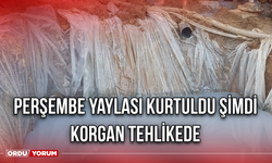 Perşembe Yaylası Kurtuldu Şimdi Korgan Tehlikede