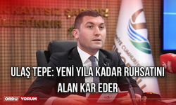 Ulaş Tepe: Yeni Yıla Kadar Ruhsatını Alan Kar Eder