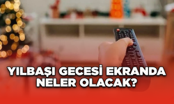 Yılbaşı Gecesi Ekranda Neler Olacak?