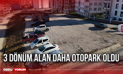 3 Dönüm Alan Daha Otopark Oldu