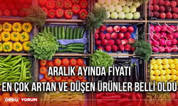 Aralık Ayında Fiyatı En Çok Artan ve Düşen Ürünler Belli Oldu