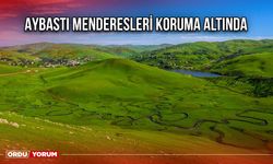 Aybastı Menderesleri Koruma Altında