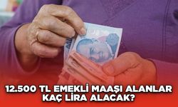 Ocak Ayı Zammı Açıklandı! 12.500 TL Emekli Maaşı Alanlar Kaç Lira Alacak?