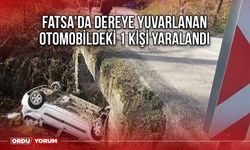 Fatsa'da dereye yuvarlanan otomobildeki 1 kişi yaralandı