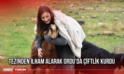 Tezinden İlham Alarak Ordu’da Çiftlik Kurdu