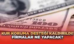 Kur Koruma Desteği Kaldırıldı! Firmalar ne yapacak?