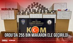 Ordu’da 255 Bin Makaron Ele Geçirildi