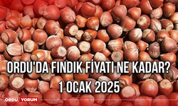 Ordu'da Fındık Fiyatı Ne Kadar? 1 Ocak 2025