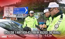 Ordu’da 1 Haftada 43 Trafik Kazası: 56 Yaralı