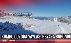 Kumru Düzoba Yaylası Beyaza Büründü