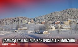 Çambaşı Yaylası’nda Kartpostallık Manzara