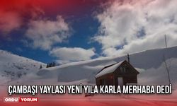 Çambaşı Yaylası Yeni Yıla Karla Merhaba Dedi