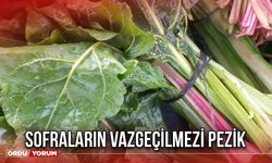 Sofraların Vazgeçilmezi Pezik