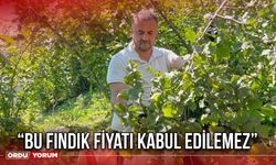 “Bu Fındık Fiyatı Kabul Edilemez”