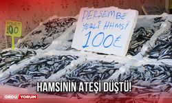 Hamsinin Ateşi Düştü!