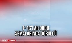 F-16’lar Ordu Semalarında Görüldü