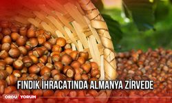 Fındık İhracatında Almanya Zirvede