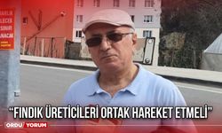 “Fındık Üreticileri Ortak Hareket Etmeli”