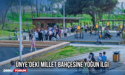 Ünye'deki Millet Bahçesine Yoğun İlgi