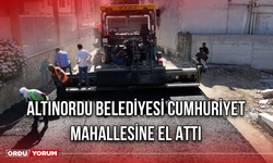 Altınordu Belediyesi Cumhuriyet Mahallesine El Attı