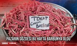 Pazarın Gözdesi Bu Hafta Barbunya Oldu