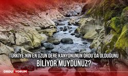 Türkiye’nin En Uzun Dere Kanyonunun Ordu’da Olduğunu Biliyor Muydunuz?