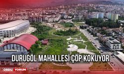 Durugöl Mahallesi Çöp Kokuyor