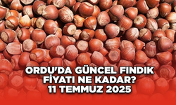 Ordu'da güncel fındık fiyatı ne kadar? 11 Temmuz 2025