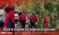 Gölköy’de Kaybolan Yaşlı Adam Sağ Salim Bulundu