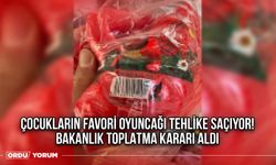 Çocukların Favori Oyuncağı Tehlike Saçıyor! Bakanlık Toplatma Kararı Aldı