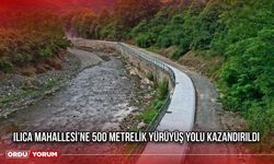 Ilıca Mahallesi’ne 500 Metrelik Yürüyüş Yolu Kazandırıldı
