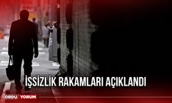 İşsizlik rakamları açıklandı