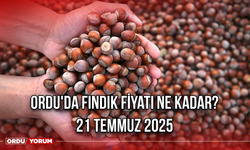 Ordu'da fındık fiyatı ne kadar? 21 Temmuz 2025