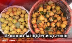 Köy Armudunda Fiyat Düşüşü Vatandaşı Sevindirdi