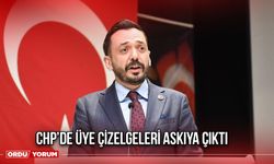 CHP'de Üye Çizelgeleri Askıya Çıktı