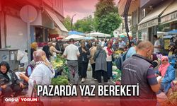 Pazarda Yaz Bereketi
