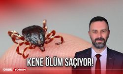 Kene Ölüm Saçıyor!