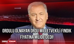 Ordulu Olmayan Ordu Milletvekili Fındık Fiyatına Müjde Dedi!