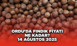 Ordu'da fındık fiyatı ne kadar? 14 Ağustos 2025