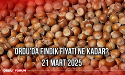 Ordu'da güncel fındık fiyatı ne kadar? 21 Ağustos 2025