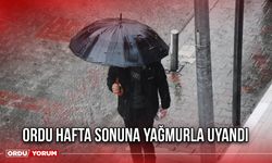 Ordu Hafta Sonuna Yağmurla Uyandı