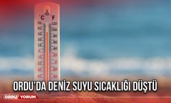 Ordu’da Deniz Suyu Sıcaklığı Düştü