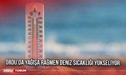 Ordu’da Yağışa Rağmen Deniz Sıcaklığı Yükseliyor