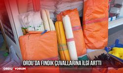 Ordu’da Fındık Çuvallarına İlgi Arttı