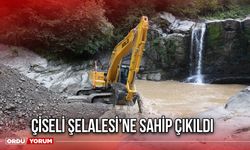 Çiseli Şelalesi’ne Sahip Çıkıldı