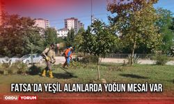 Fatsa’da Yeşil Alanlarda Yoğun Mesai Var