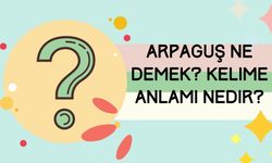 Arpaguş ne demek? Kelime anlamı nedir?